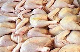 صادرات مرغ قطعه بندی شده منجمد از استان زنجان