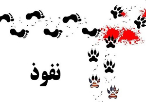 یک عامل ارتباطی با رسانه‌های ضد انقلاب دستگیر شد