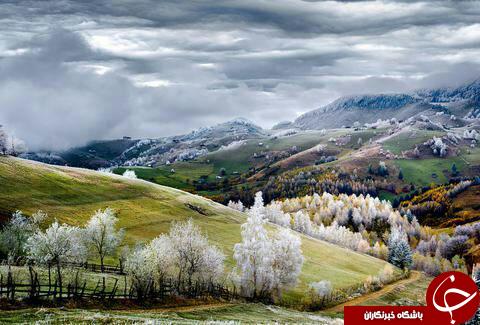 عکس در کانال گردی؛