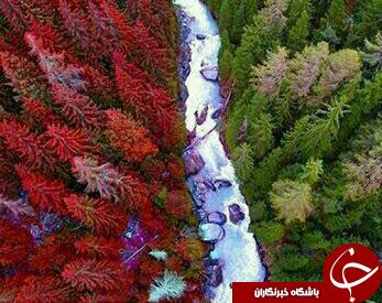 شگفتی های طبیعت به روایت نشنال جئوگرافی +10 عکس