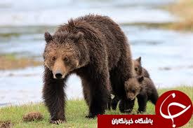 شگفتی های طبیعت به روایت نشنال جئوگرافی +10 عکس