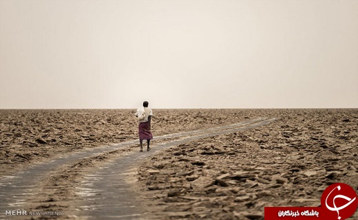 استخراج نمک در بیابان داغ&lrm;