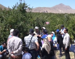 برگزاری کارگاه بین المللی گواهی محصولات ارگانیک