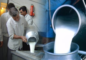 سهم 100هزارتنی فارس از خرید حمایتی شیر