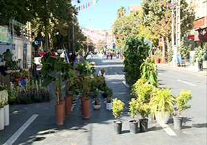 روزی بدون خودرو
