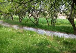 تشدید نظارت بر مراتع جنوب کرمان