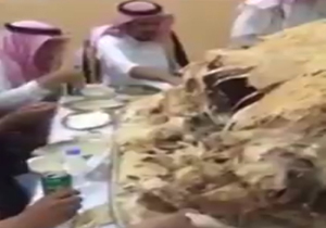 شتر پارتی سعودی‌ها + فیلم