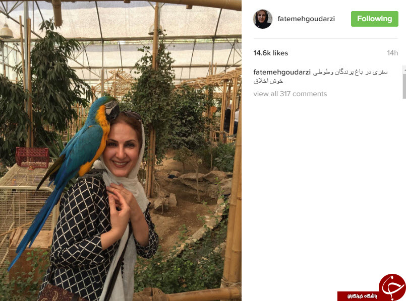 اینستاگردی