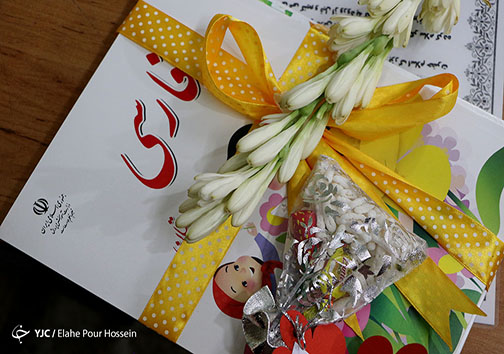 جشن شکوفه ها در شیراز به روایت تصویر