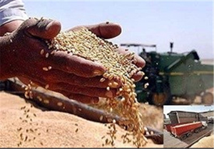 یارانه دولت برای خرید تضمینی محصولات کشاورزی