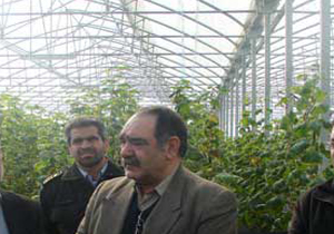افتتاح گلخانه گل رز در شهرکرد