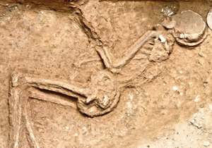 معمای کشف اسکلت در شرکت خصوصی