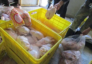 معدومسازی 700 کیلو گرم گوشت مرغ