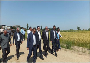 بهره برداری از 8 پروژه راه روستایی در محمودآباد