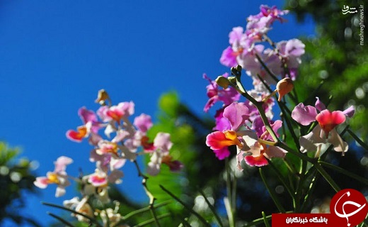 عکس/ کشوری زیبا با 330 جزیره