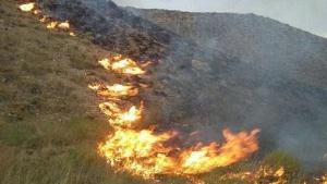آتش سوزی درمراتع چالدران