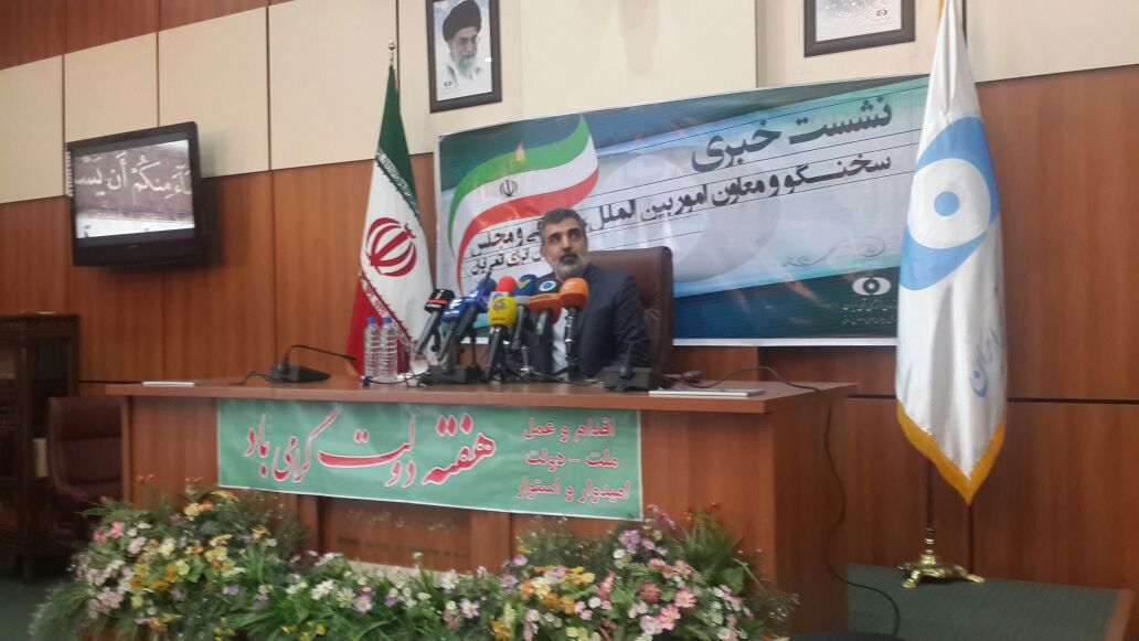 برگزاری نشست خبری سخنگوی سازمان انرژی اتمی