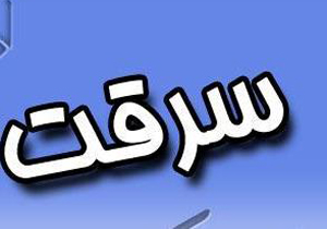 حرفه ای ترین سارقان زن! + فیلم