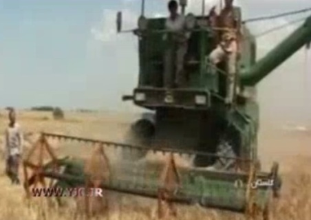 زرع بی حاصل؛ حکایت زرع  پربرکتی که مزدش هنوز به دست زارعان نرسیده است.
