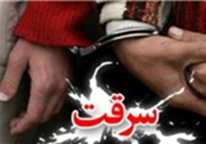 کاهش 33 درصدی سرقت در جهرم