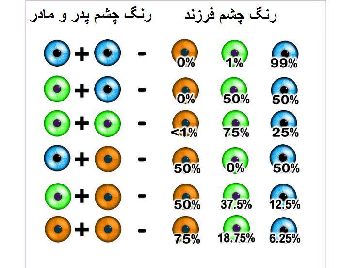 قبل زایمان رنگ چشم کودک خود را بدانید