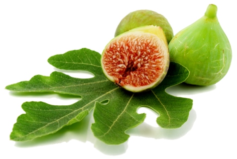 بسته خبری کافه سلامت گلستان در یک نگاه