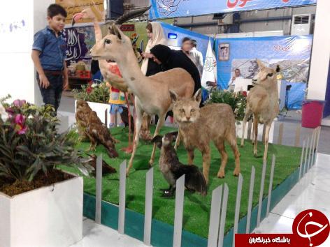 نمایشگاه هفته دولت در اهواز+عکس