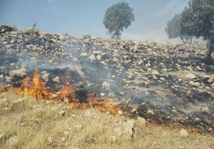 آتش سوزی مراتع ارتفاعات روستای رونج تربت جام