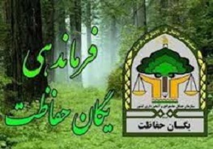 تشکیل 410پرونده تخلف منابع طبيعی در شهرستان دامغان
