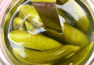 خیارشور روحی نخرید