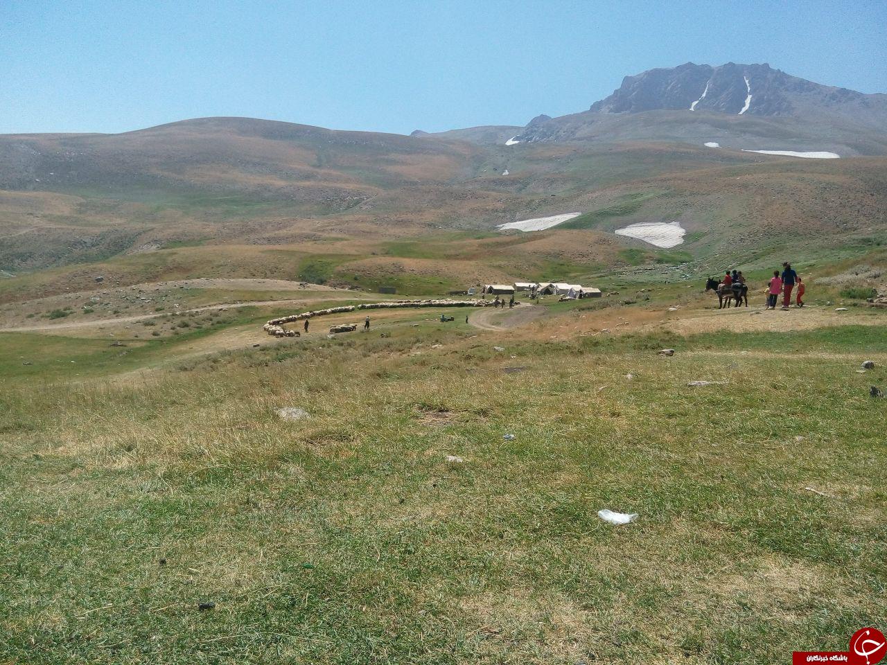 تصاویری دیدنی از منطقه کوهستانی دالامپر اشنویه