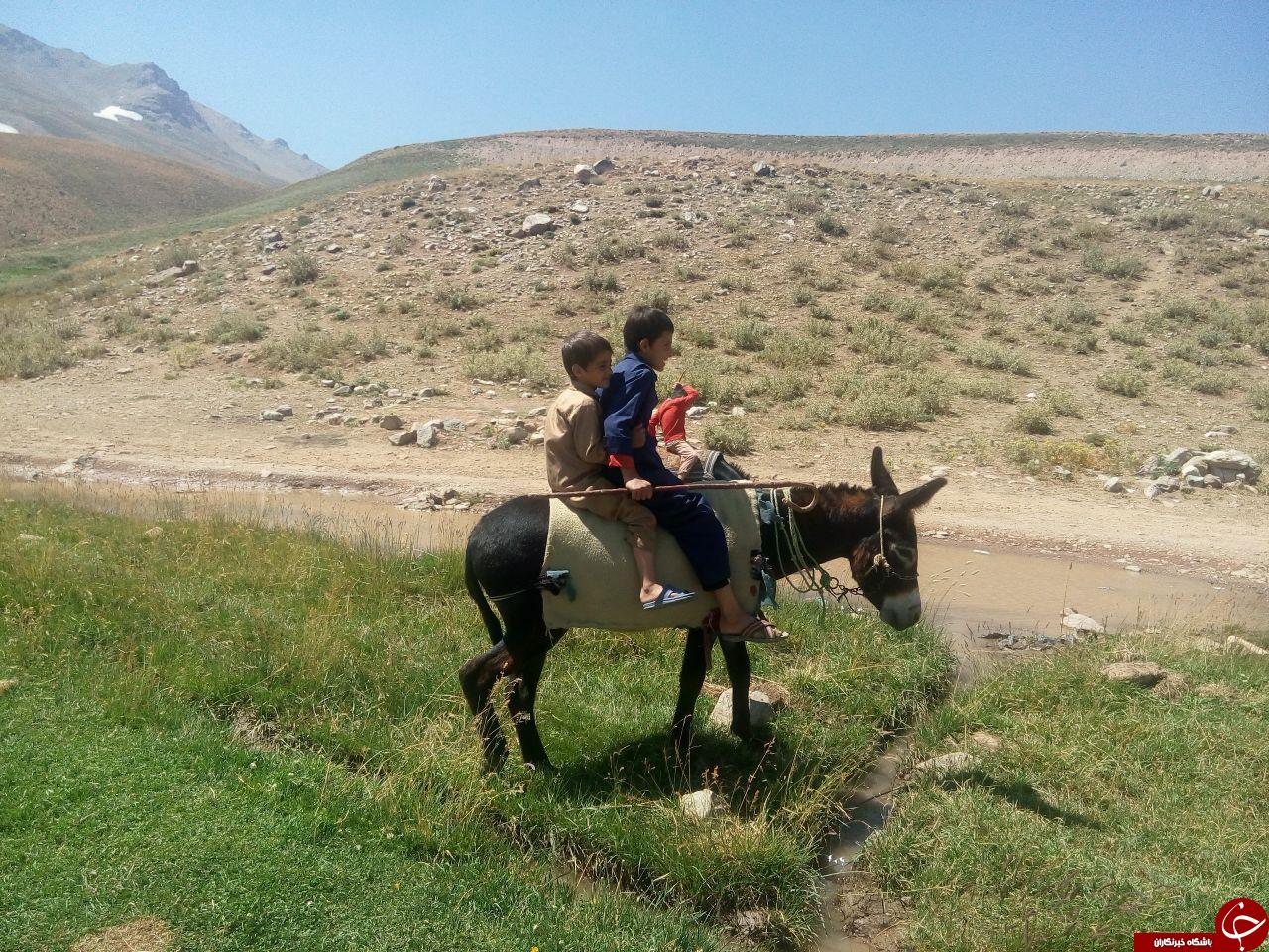 تصاویری دیدنی از منطقه کوهستانی دالامپر اشنویه
