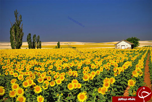 تصاويری از زیباترین مناظر طبیعی جهان