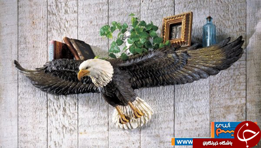 دکوراسیون داخلی؛قفسه هایی خاص برای افراد سخت گیر