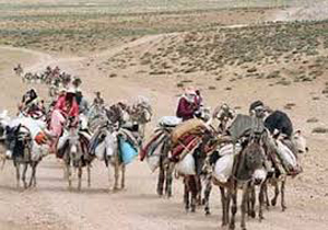 شناسایی بیش از 7هزار ایل راه فارس