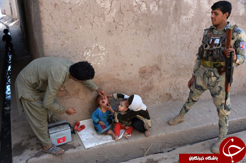 از کشته شدن همزمان 300 راس گوزن تا ناکامی وزنه&zwnj;بردار لهستانی در رکوردزنی