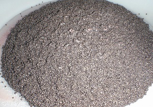 استحصال نخستین خاویار پرورشی از فیل ماهی