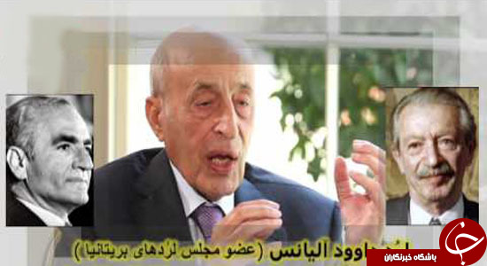 دیوید آلیانس؛ گرگی در لباس میش + تصاویر