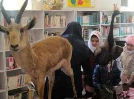 اجرای طرح یک ساعت با محیط بان در مدرسه
