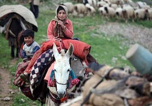 استقرار عشایر در مناطق قشلاقی استان