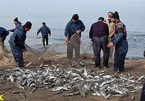 آغاز فعالیتهای صید وصیادی در دریاچه پشت سد ارس