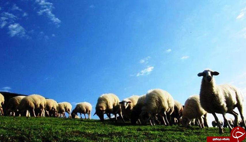 طبیعت زیبای ییلاق سوچاله در ماسال گیلان