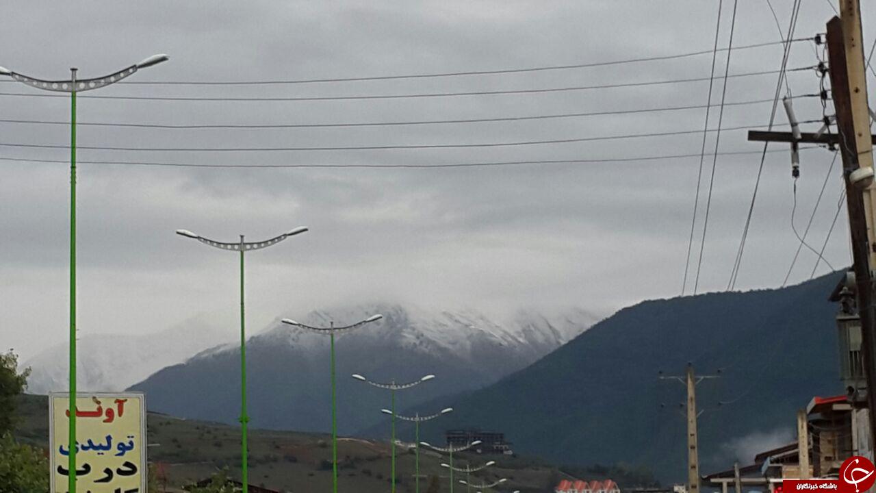 بارش برف در کلاردشت