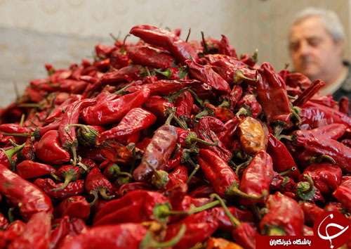 از بازگشت کودکان سوری به کشور تا عکس سلفی هیلاری کلینتون با هواداران
