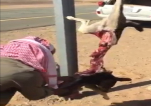 لحظه فرو ريختن ساختمان نيروگاه برق آبی + فیلم