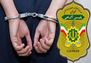 اغفالگرو كلاهبردار اينترنتی بيتالك به دام افتاد