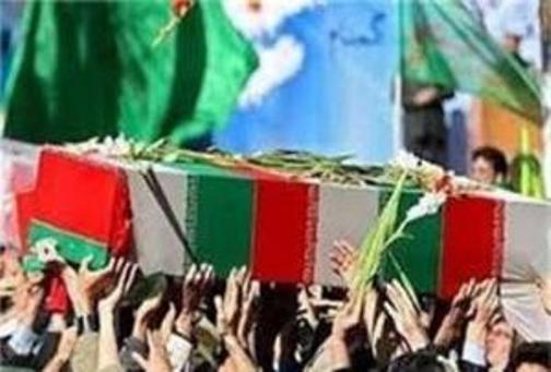 بازگشت 78 پرستوی مهاجر به وطن