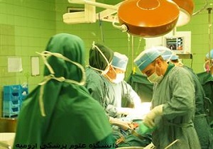سومین مورد اهدای اعضای پیوندی استان در سال 95