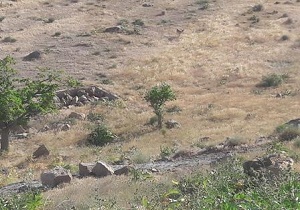 کارشناسی اراضی استان سمنان برای واگذاری