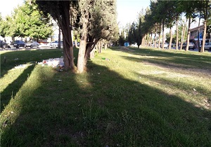 پایین بودن سرانه فضای سبز در ‌استان اردبیل  از میانگین کشوری